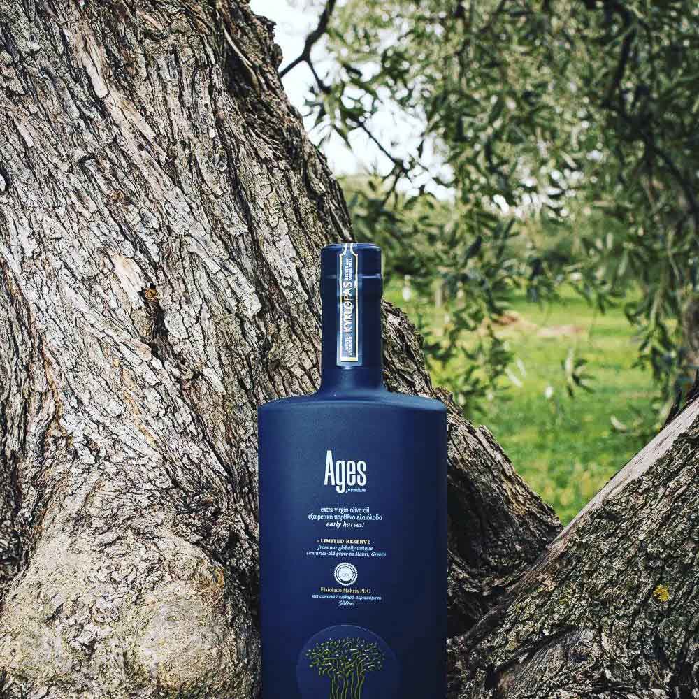 Kyklopas ancient olive grove and new evoo AGES