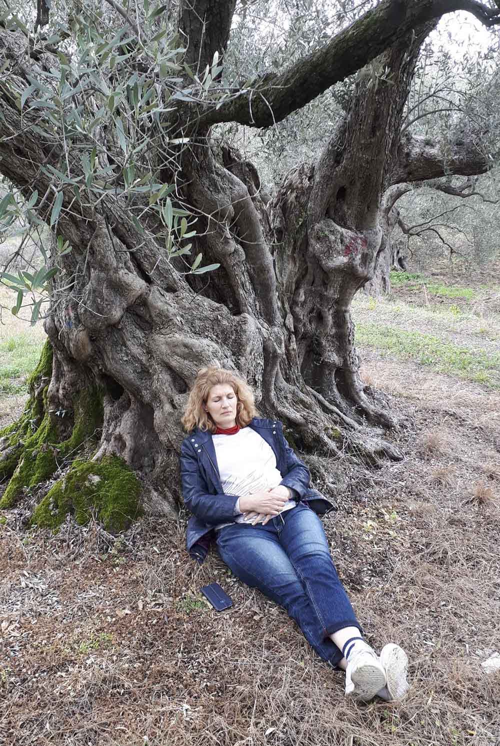 Napping under a Kyklopas ancient olive tree